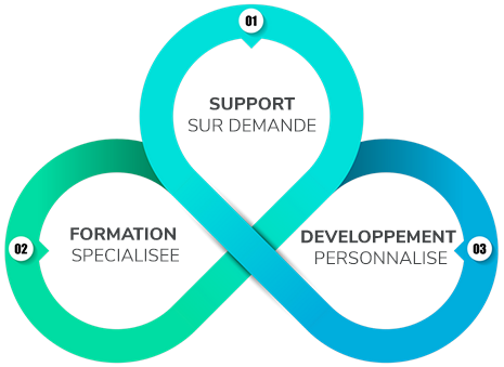 services professionnels par spinetix